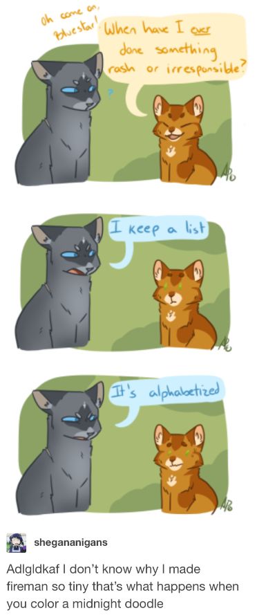 Tiny Warrior Cats, Warrior Cats Tigerstar, Tigerstar Warrior Cats, How To Draw Warrior Cats, Jayfeather Warrior Cats, Bluestar Warrior Cats, Warrior Cats Jayfeather, Warrior Cats Quotes, Caine Husky