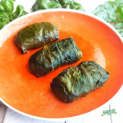 Stuffed Chard Rolls, Turkish Rolls Recipe, Dolmades Greek, Stuffed Swiss Chard, Swiss Chard Rolls, Chard Rolls, Hamburger Rolls, Swiss Chard Recipes, Stuffed Grape Leaves