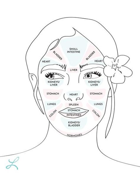 Facial Mapping, Gesicht Mapping, Doterra Acne, Chin Acne Causes, Face Map, Chin Acne, Face Mapping Acne, Forehead Acne, Face Mapping