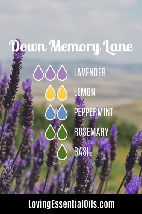 Memory Boosting Diffuser Blend with Lavender, Lemon, Peppermint, and Rosemary - Down Memory Lane Lavender Peppermint Diffuser Blend, Lavender Essential Oil Blends, Essential Oils For Memory, Peppermint Essential Oil Uses, Lavender Essential Oil Uses, Relaxing Essential Oil Blends, Lavender Diffuser, Essential Oil Spray Recipes, Essential Oils For Breathing