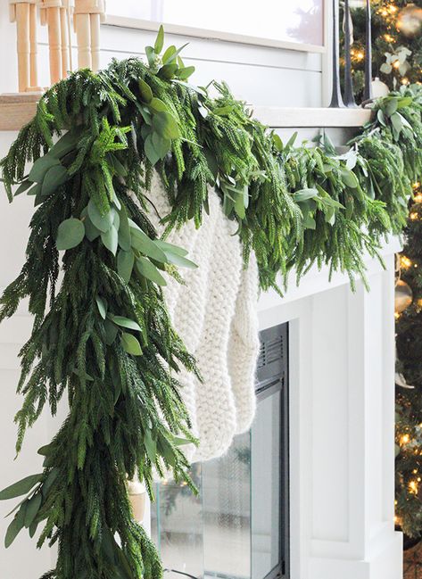 <p>Capture the timeless beauty of nature in your home without the hassle of maintenance with our <strong>Real Touch Pine Garland</strong>. This exquisite garland is expertly crafted to replicate the look and feel of real pine, providing you with enduring elegance and seasonal charm that requires no upkeep. Drape it along your banister for a festive entryway, embellish your fireplace mantle for a cozy atmosphere, or wind it around a chandelier for an elegant centerpiece.&lt Natural Decor For Christmas, Garland With Lights Christmas, Mantle Decor Candlesticks, Christmas Garland For Fireplace, Farmhouse Stores, White Christmas Mantle Decor, Garland Over Doorway, Eucalyptus Garland Mantle, Fireplace Ideas Christmas