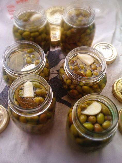 Olives Marinated, Wild Crafting, Pickled Olives, Olive Brine, Fresh Olives, Marinated Olives, Brine Recipe, Food Gardening, Olive Recipes