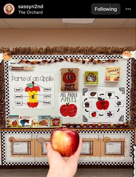 Parts Of An Apple Anchor Chart, All About Fall Kindergarten, Apple Anchor Chart Kindergarten, Apple Science Center Preschool, Apples Week Preschool, Apple Week First Grade, Apple Week Kindergarten, September Kindergarten Activities, Apple Week Preschool