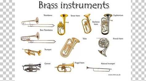 Instrument Families, Homemade Instruments, Brass Instrument, Woodwind Instrument, Brass Instruments, Learn English Vocabulary, Percussion Instruments, Tv Movie, Teaching Music