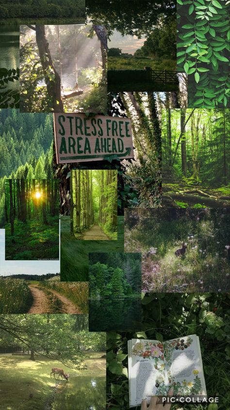 a nature aesthetic collage for a phone background. Asthetic Picture Wallpaper Green Nature, Forestcore Background, Nature Green Aesthetic Wallpaper, Evergreen Aesthetic Wallpaper, Earthcore Wallpaper, Forest Collage Wallpaper, Nature Collage Aesthetic, Forest Aesthetic Collage, Nature Collage Wallpaper