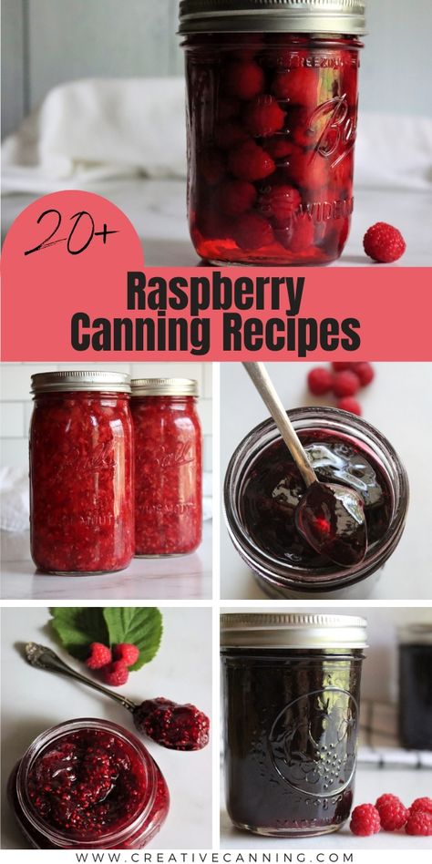 What To Do With Raspberry Jam, Ways To Preserve Raspberries, Raspberry Recipes Canning, Canning Raspberry Sauce, Canning Raspberry Syrup, Canned Raspberry Recipes, Canning Raspberry Pie Filling, Raspberry Canning Recipes, Canned Raspberries