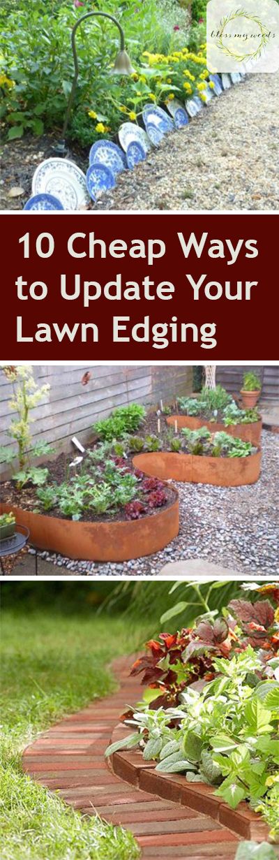 10 Cheap Ways to Update Your Lawn Edging ~ Bless My Weeds Edging Lawn, Easy Garden Ideas Landscaping, Lawn Borders, Landscape Borders, Cheap Backyard, Diy Lawn, Budget Garden, Edging Ideas, Landscape Edging