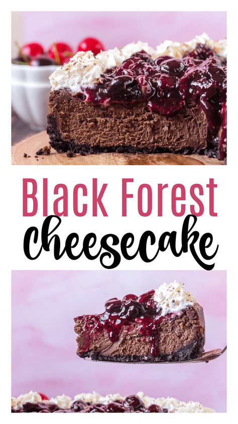 Dark Chocolate Cherry Cheesecake, Black Forest No Bake Cheesecake, Black Cherry Cheesecake, No Bake Chocolate Cherry Cheesecake, Chocolate Cherry Cheesecake Recipe, No Bake Black Forest Cheesecake, Blackforest Cheesecake Recipes, Blackforest Cheesecake, Black Forest Cheesecake Recipe