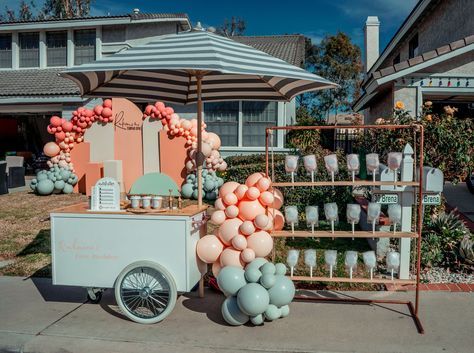 Party Rental Business Ideas, Party Cart, Cotton Candy Cart, Lemonade Stand Party, Ice Cream Wedding, Cotton Candy Wedding, Pancake Bar, Party Rental Ideas, Party Rentals Business