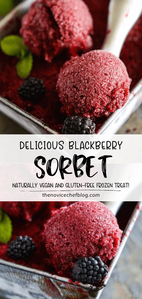 Recipes With Frozen Blackberries, Things To Make With Blackberries, Fresh Blackberry Recipes Healthy, Gluten Free Blackberry Recipes, Blackberry Sorbet Recipe, Blackberry Desserts Easy, Black Berries Recipes, Frozen Blackberry Recipes, Vegan Blackberry Recipes