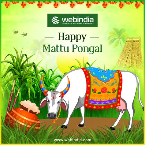 Happy Mattu Pongal Happy Mattu Pongal, Mattu Pongal, Our Life, Let It Be, Quick Saves