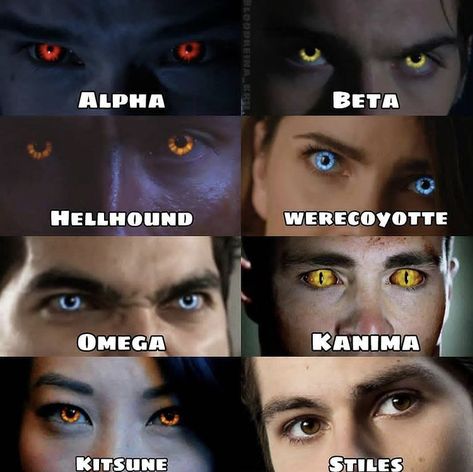 Werewolf Concept Art, Teen Wolf Eyes, Wolf Characteristics, Fantasy Werewolf, Werewolf Eyes, Teen Wolf Werewolf, Ben 10 Action Figures, Wolf Meme, Werewolf Girl