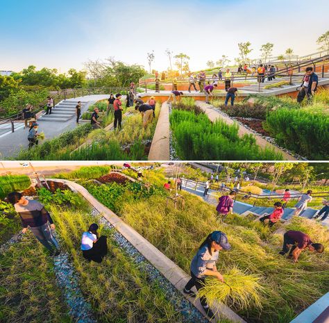 A rooftop farm with a terraced landscape design inspired by rice fields. Landscape Terrace Design, Agriculture Landscape Design, Farm Landscape Design, Terraced Landscape, Playground Landscape, Hard Landscaping Ideas, Apartment Rooftop, Orchard Design, Terraced Landscaping