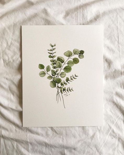 Eucalyptus Illustration, Akvarel Illustration, Eucalyptus Print, 심플한 그림, Neutral Print, 카드 디자인, Soyut Sanat Tabloları, Fluid Acrylic Painting, 수채화 그림