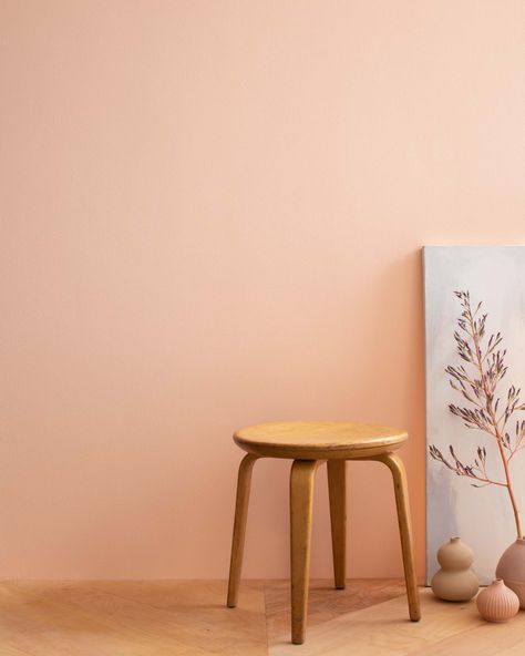 Coral Paint Colors Benjamin Moore, Melon Ice Benjamin Moore, Benjamin Moore Coral Colors, Coral Buff Benjamin Moore, Light Coral Paint Color, Coral Hallway, Coral Wall Color, Light Orange Walls, Coral Wall Paint