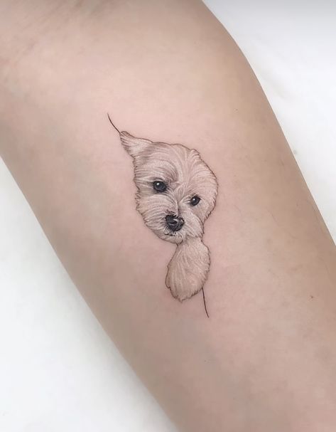 Havanese Tattoo, Shihtzu Tattoos, Puppy Tattoos, Dog Tattoo Ideas Minimalist, Maltese Tattoo, Thor Tattoo, Otter Tattoo, Puppy Tattoo, Small Dog Tattoos