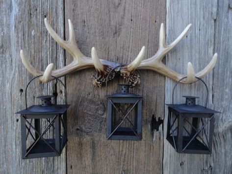 Antlers used to hold up lanterns Lantern Wall Decor, Decorating With Antlers, Antler Projects, Antler Wall Decor, Deer Antler Crafts, Taxidermy Deer, Antler Ideas, Deer Antler Decor, Antler Decor