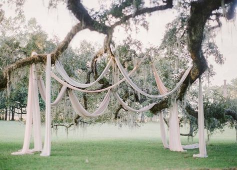 Wedding Decor Outdoor Ceremony, Outdoor Ceremony Ideas, Tree Wedding Decor, Misty Wedding, Wedding Decor Outdoor, Tree Wedding Ceremony, Oak Tree Wedding, Wedding Tree Decorations, Wedding Walk