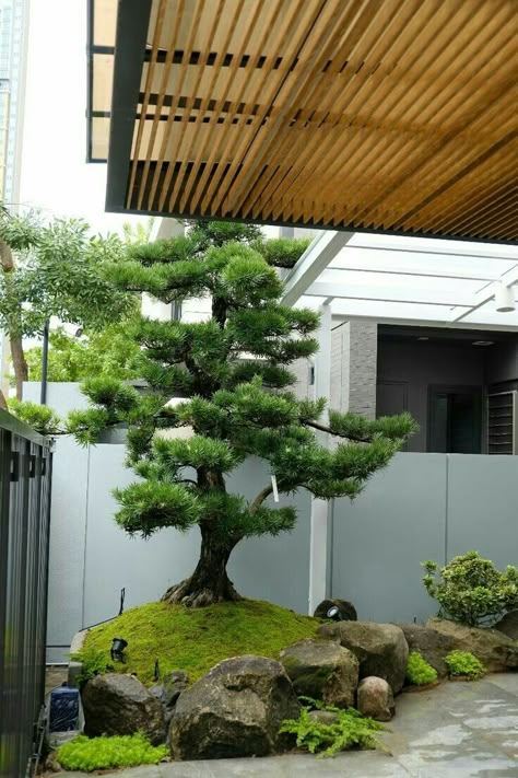 Japanese Style Front Yard, Japanese Garden Design Front Yards, Designer Landscaping, Japanese Garden Backyard, Japanese Garden Style, Garden Fairy Costume, Dream Garden Backyards, Garden River, Pool Bed