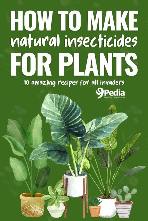 How to Make Natural Insecticide for Plants – 10 Homemade Recipes for All Invaders #naturalinsecticide #insecticides #insecticiderecipe #naturalgarden #growingplants #homemade Fungicide For Plants Homemade, Homemade Insecticide For Plants, Natural Insecticide For Plants, White Bugs On Plants, Insecticide For Plants, Homemade Insecticide, Plant Lice, Natural Antacid, Hydroponics Gardening