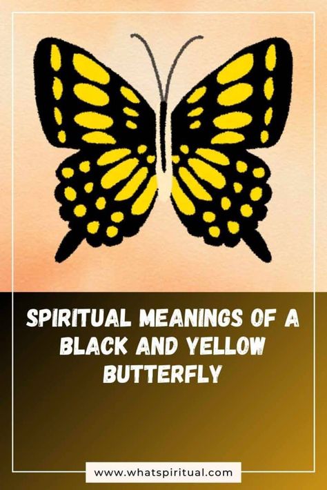 9 Spiritual Meanings of a Black and Yellow Butterfly | What Spiritual Yellow Butterfly Spiritual Meaning, Butterfly Meaning Spiritual, Hawk Meaning, Yellow Butterfly Meaning, Black And Yellow Butterfly, Butterfly Meaning, Spirit Animal Meaning, Animal Meanings, Todo List