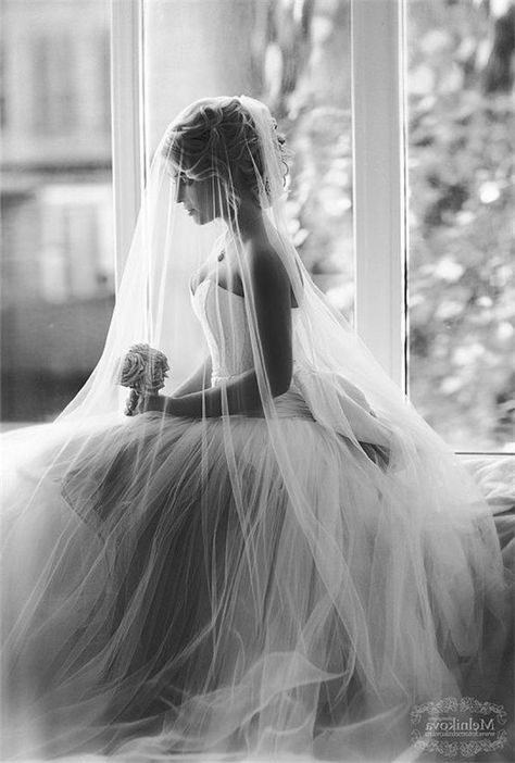 Elegant Black and White Wedding Photography Ideas #wedding #weddingphotos #weddingideas #Photography Window Pictures, Black And White Wedding Photography, White Wedding Photography, Tulle Wedding Veil, Cathedral Wedding Veils, Wedding Photography Bride, Creative Wedding Photography, Cathedral Veil, Black And White Wedding