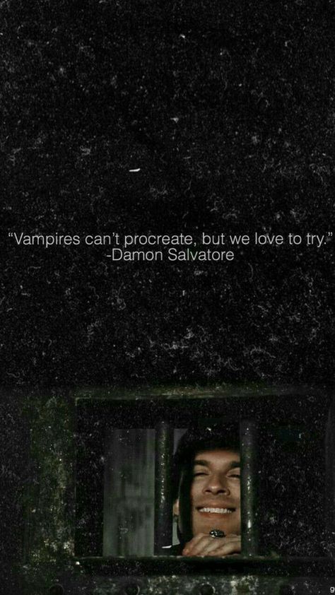 Damon Salvatore Quotes, Damon Quotes, Tvd Quotes, Vampire Diaries Memes, Ian Joseph Somerhalder, Ian Somerhalder Vampire Diaries, Vampire Diaries Poster, Damon Salvatore Vampire Diaries, Vampier Diaries