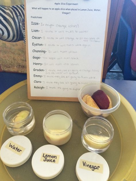 Apple slice experiment Pre-k Science, Apple Slice, Apple Slices, Glass Of Milk, Juice, Lemon, Science