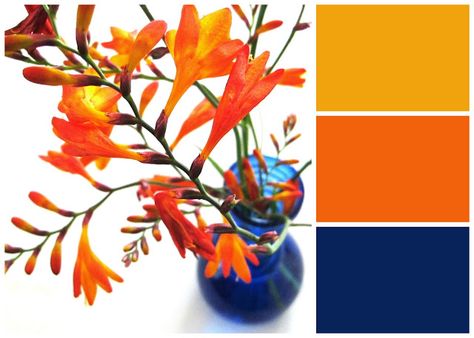 Blue Orange Kitchen, Kitchen Color Orange, Orange Paint Colors, Trendy Kitchen Colors, Color Palette Living Room, Orange Color Schemes, Orange Color Palettes, Living Room Orange, Blue Glass Vase