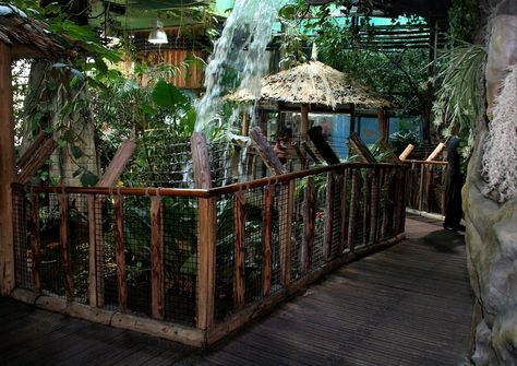 Tropicarium - Budapest Tropicarium Budapest, Budapest, Hungary, Europe Travel, Places Ive Been, Outdoor Furniture, Outdoor Decor, Travel