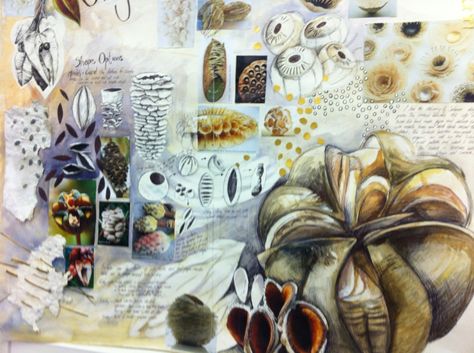 Research natural forms Natural Forms Art Alevel, Natural Forms Sculpture Gcse, Natural Forms Art, A Level Art Sketchbook Natural Forms, Natural Forms Title Page Gcse, Artist Research Page Natural Forms, Gcse Art Sketchbook Layout Grade 9 Natural Forms, Natural Forms Gcse, Sketchbook Layout