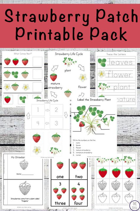 Strawberry Crafts, Kindergarten Curriculum, Abc Activities, Spring Preschool, Strawberry Patch, Homeschool Classroom, Strawberry Plants, Homeschool Printables, Activity Books