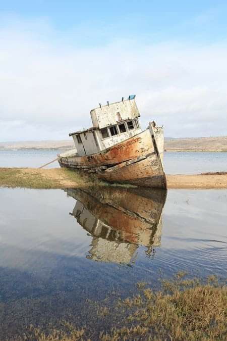 Point Reyes California, Point Reyes National Seashore, Unique Photos, Abandoned Ships, Point Reyes, Ghost Ship, Old Boats, Shot Photo, Boat Art