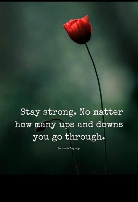 Ups And Downs Quotes, Lifes Ups And Downs, Quotes Stay Strong, Peaks And Valleys, Staying Strong, Believing In Yourself, Straight Line, Stay Strong, Stay Focused