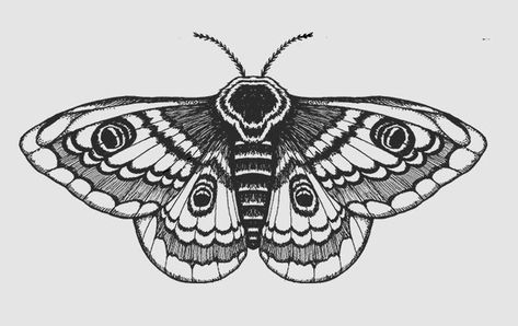 White Moth Tattoo, Moth Tattoo Meaning, Traditional Moth Tattoo, Moth Tattoos, Designs With Meaning, Moth Tattoo Design, Moth Art Print, Moth Art, Moth Tattoo