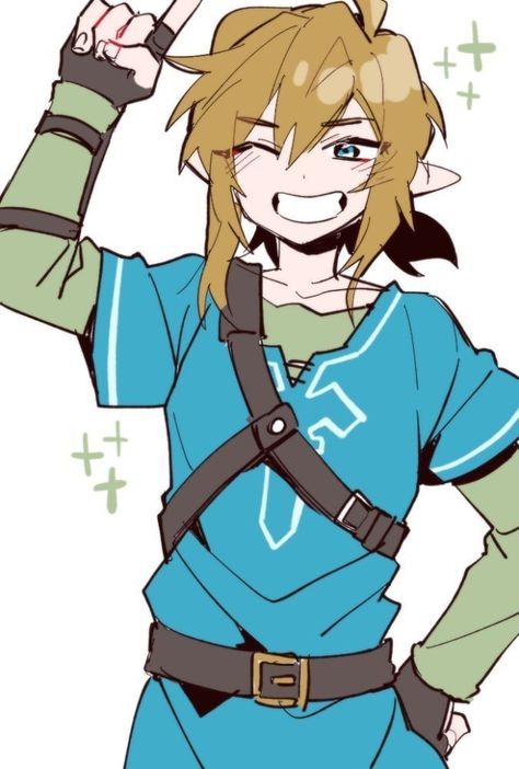 Link Fanart, Link Botw, Legend Of Zelda Botw, Link And Zelda, Link Art, Zelda Botw, Legends Of Zelda, Link Zelda, Zelda Breath Of The Wild