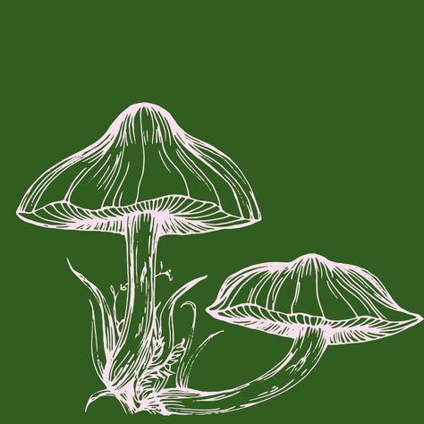 Sage Green Mushroom Wallpaper, Wall Collage Pictures Aesthetic Green, Green Mushroom Aesthetic, Earthy Doodles, Vintage Mushroom Art, Shroom Art, Green Posters, Cottage Forest, Mushroom Magic