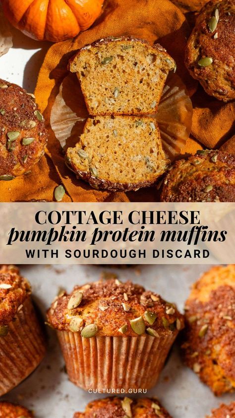 Sourdough muffins are already a staple snack around here, but I knew I could take them to the next level with a pumpkin protein version. These cottage cheese pumpkin protein muffins have 10 grams of protein each and include sourdough discard, grass-fed whey protein, creamy cottage cheese, and pumpkin puree for the best flavor and nutrition. #pumpkin #protein #muffins Sourdough Discard Pumpkin Bread Healthy, Protein Sourdough Muffins, Sourdough Discard Pumpkin Recipes, Sourdough Protein Muffins, Protein Sourdough Recipes, High Protein Sourdough Recipes, Sourdough Protein Recipes, Pumpkin Cottage Cheese Muffins, Cottage Cheese Pumpkin Muffins