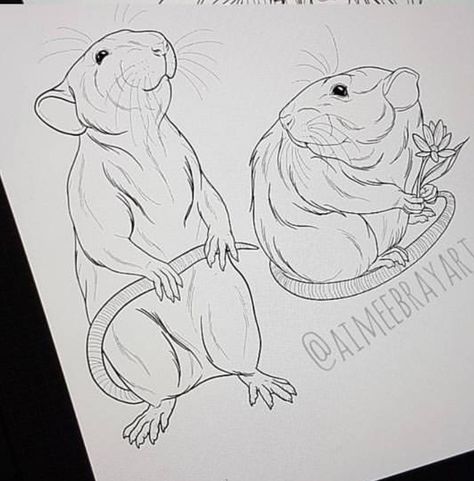 Rat Standing Up Drawing, Rat Standing Up, Hairless Rat Tattoo, Rat Illustration, Rattus Rattus, Rat Drawing, Rat Art, Rat Tattoo, Tier Tattoo