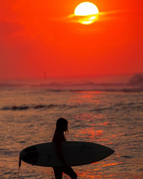 Surfer girl Brunette Surfer Girl, Surf Photoshoot, Surf Girl Aesthetic, Ocean People, Surfer Girl Aesthetic, Surfer Aesthetic, Girl Surfer, Surf Aesthetic, 9 Lives