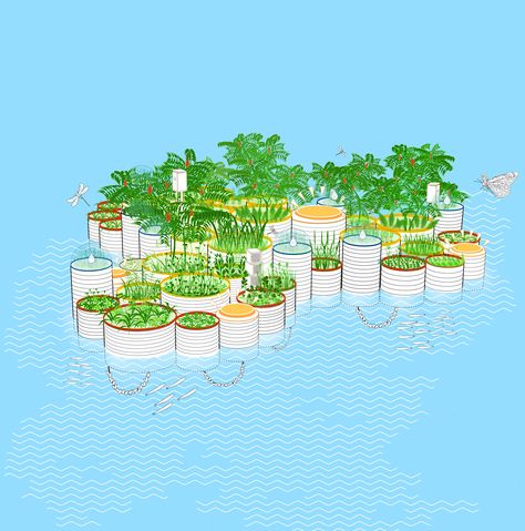 Testing The Waters: How Floating Gardens Could Solve Our Biggest Environmental Challenges - Garden Collage Floating Gardens, Sponge City, Floating Architecture, Ecology Design, Floating Garden, Floating Island, Diy Raised Garden, Natural Swimming Pool, Outdoor Diy Projects