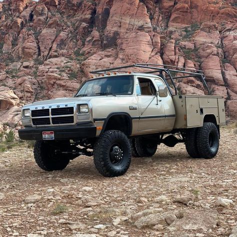 “Real Trucks Go to Work!” on Instagram: "#flashbackfriday to my old first gen… “Goldilocks “ was a 1992 W350, 6” lift riding on 37” Super Swampers. Really cool truck. Happy Friday everyone 🍻 🥃. #workingclasstrucks #flashback #firstgen #firstgenfriday #cummins #w350 #worktruck #dodge #dodgediesel #cumminsturbodiesel #lifted #superswampers #interco #skyjacker #workingclass #truck #trucks #twelvevalvevibes #12valvevibes" Dodge Trucks Lifted, First Gen Cummins, First Gen Dodge, Dodge Cummins Diesel, Dodge Pickup Trucks, Plow Truck, Country Trucks, Old Dodge Trucks, Dodge Diesel