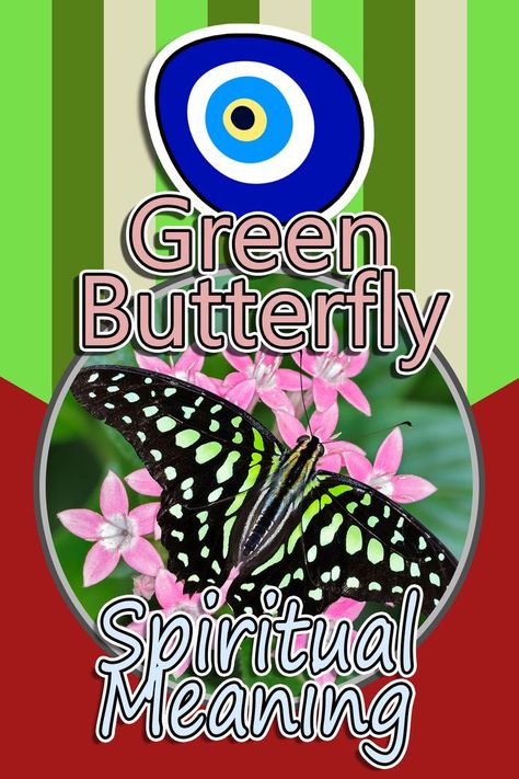 Green Butterfly Spiritual Meaning Butterfly Meaning Spiritual, Butterfly Spiritual Meaning, Butterfly Spiritual, Butterfly Meaning, Green Butterflies, Dream Meaning, Sick Remedies, Animal Spirit Guides, Dream Symbols