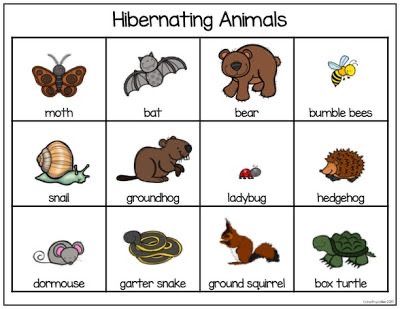 Hibernating Animals Preschool, Hibernation Preschool Theme, Hibernation Preschool Crafts, Hibernation Preschool Activities, Hibernation Crafts, Hibernating Animals, Hibernation Preschool, Hibernation Activities, Animals That Hibernate