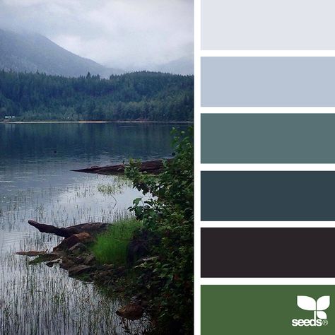 Nature-Inspired Color Palettes AKA Design Seeds For Designers, Crafters And Home Decorators Design Seeds Color Palette, Seeds Color Palette, Design Seed, Color Schemes Design, Seeds Color, Color Concept, Decor Color Schemes, Palette Design, Nature Color Palette