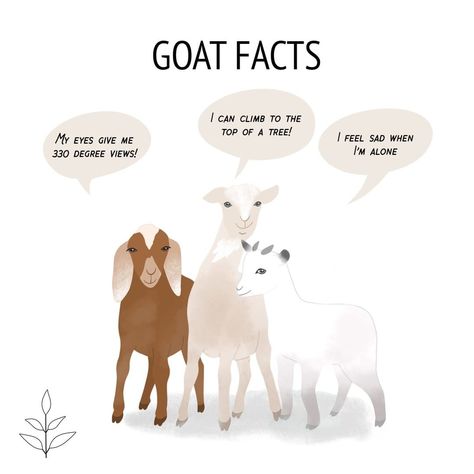 It's goat to make you happy eating vegan feta instead of goat's milk 💖 . . . . . #vegan #veganism #vegansofig #vegansofinstagram… Goat Quotes Cute, Goat Astetic, Goat Quote, Vegetarian Quotes, Vegan Meme, Goat Memes Funny, Vegan Memes Humor, Vegan Facts, Vegan Humor