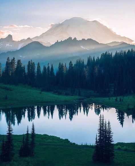 Pacific Northwest Escapes on Instagram: “Legendary Landscape of Washington. Photo by @alberthbyang #pnwescapes 🏔 Click the bio link to book a vacation rental in North Bend,…” Woods Landscape, Rainy Photos, Visit Seattle, Mount Rainier National Park, Mt Rainier, Rainier National Park, World Photography, Back To Nature, Art Challenge