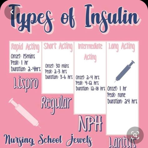 Nursing School Life, Types Of Insulin, Nursing Classes, Nursing School Essential, Nursing School Motivation, Nclex Study, Nurse Study Notes, Nursing Mnemonics, Nursing Student Tips