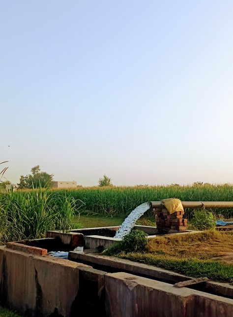 Tube well in Punjab village to irrigates the Crops  like rice, wheat, Corn etc. Tube Well In Village, Punjab Aesthetic, Indian Farming, Punjab Village, Creative Snapchats, Nature Evening, Corn Crop, Restaurant Inspiration, Evening View