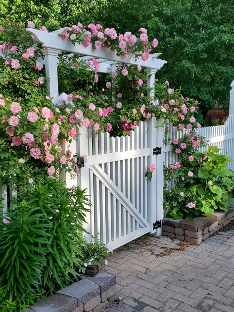 Patio Decorating Ideas, Ideas Patio, Dream House Rooms, Cute House, Patio Decorating, Dream House Exterior, Beautiful Style, Garden Gates, Patio Ideas